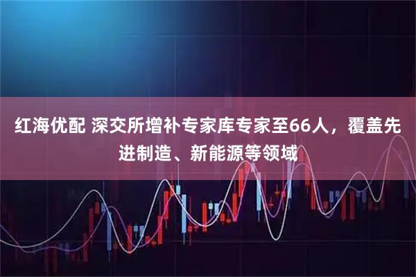 红海优配 深交所增补专家库专家至66人，覆盖先进制造、新能源等领域