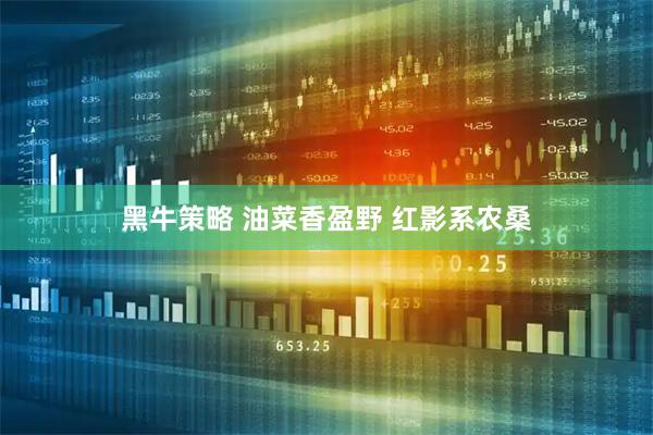 黑牛策略 油菜香盈野 红影系农桑